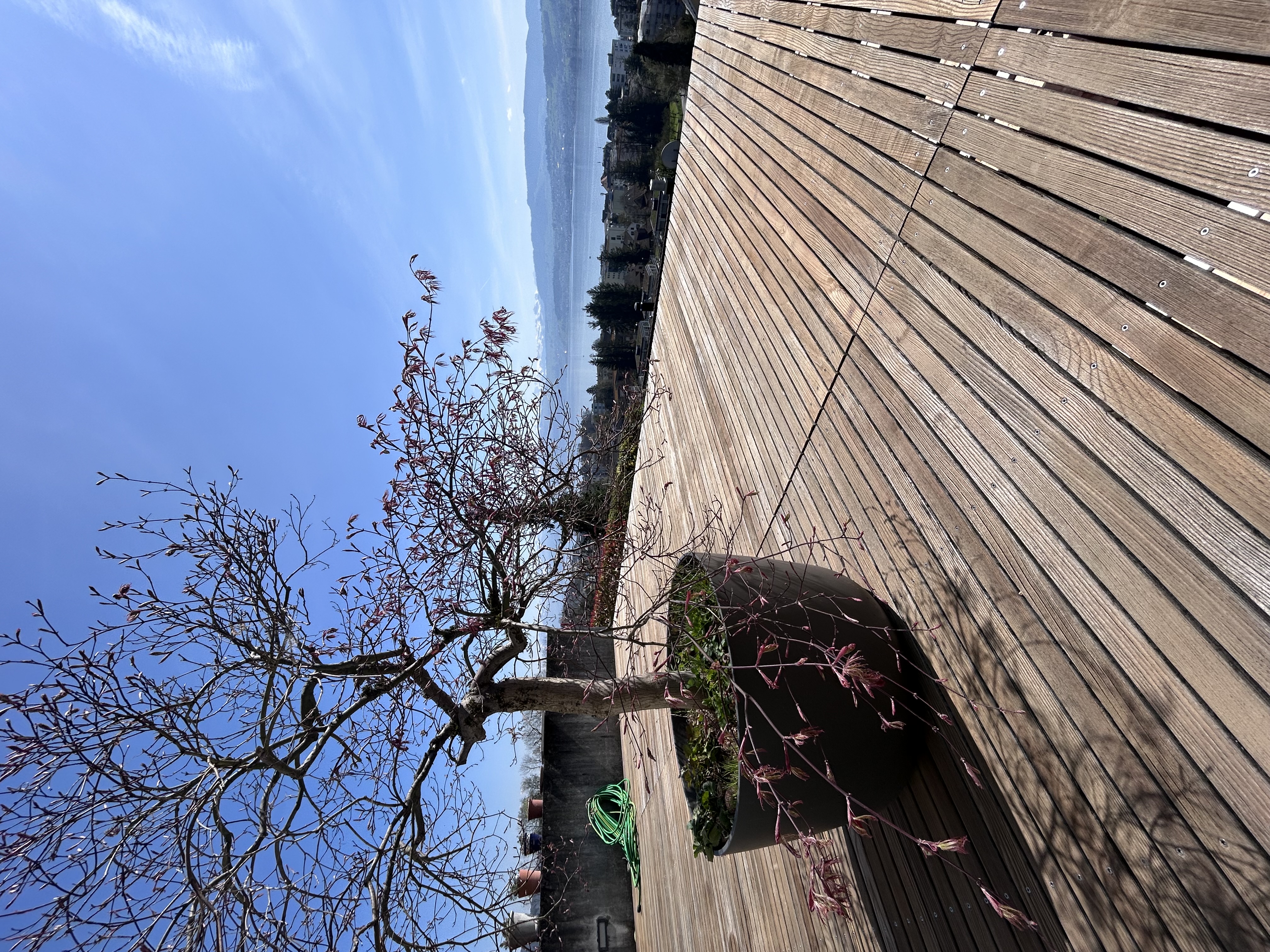 Terrassenrost Reinigen